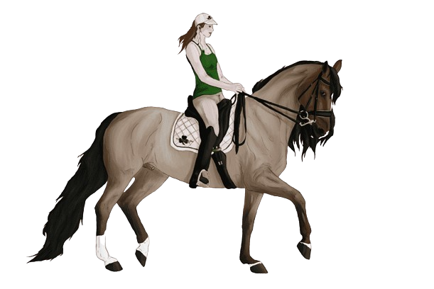 png-clipart-stallion-dressage-rein-mustang-mare-equestrian-sport-horse-horse-tack-removebg-preview